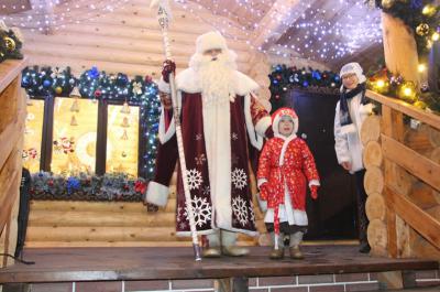 В Рязани открылась новогодняя деревня